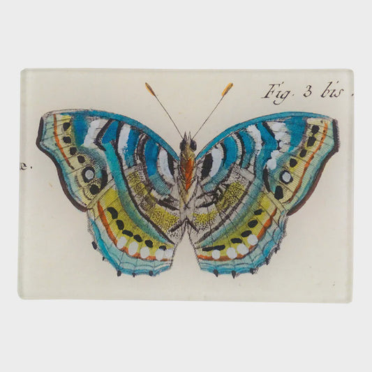 Blue Green Butterfly Fig Tiny Rect. Tray