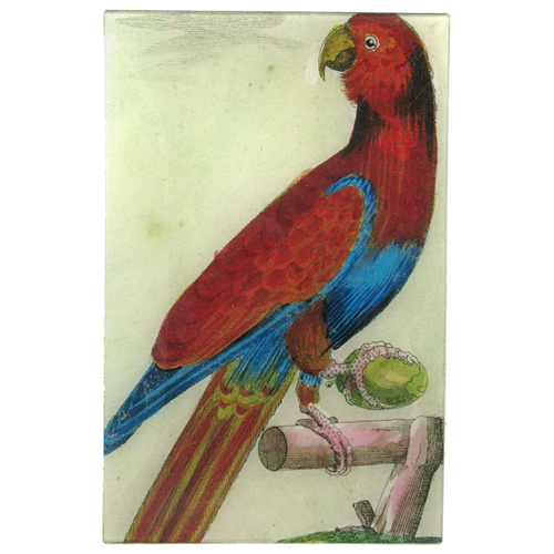 Parrot Tray #5 (Rectangular 9x14")