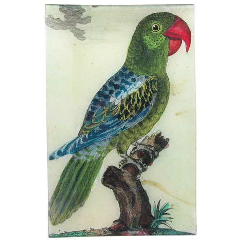 Parrot Tray #7 Green 9x14"