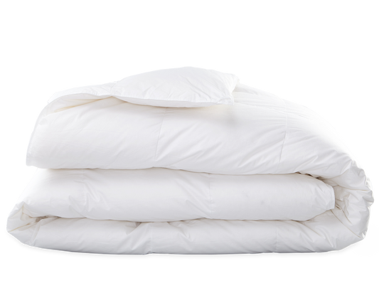 Chalet Queen Comforter