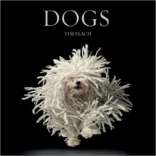 Dogs-Tim Flauch