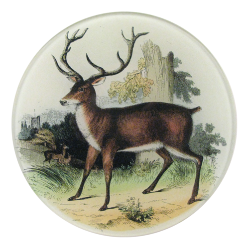 Red Deer 5 3/4" Round