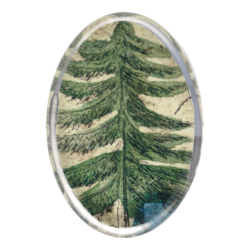 Tree Stand Oval Paperweight